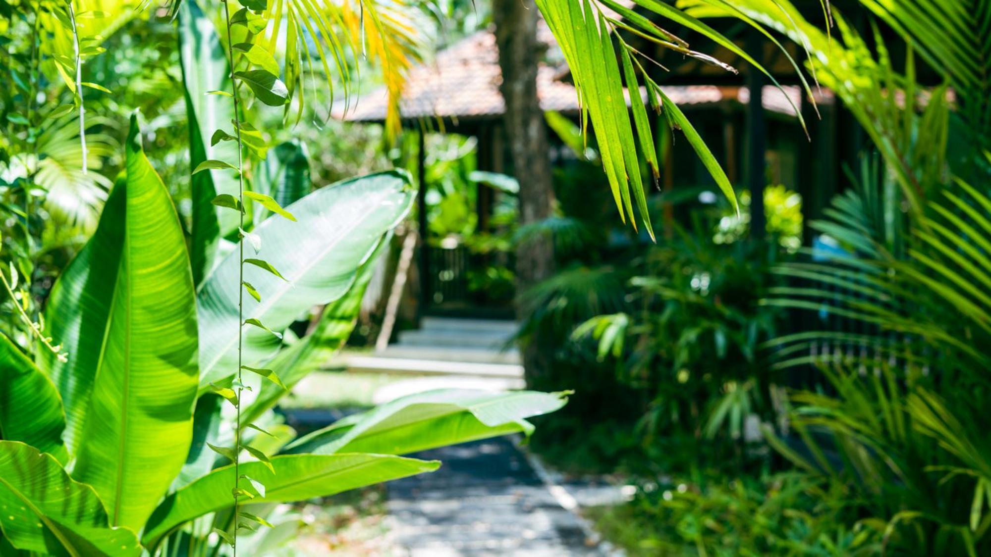 Onaya Bali Resort - Adults Only Uluwatu Εξωτερικό φωτογραφία